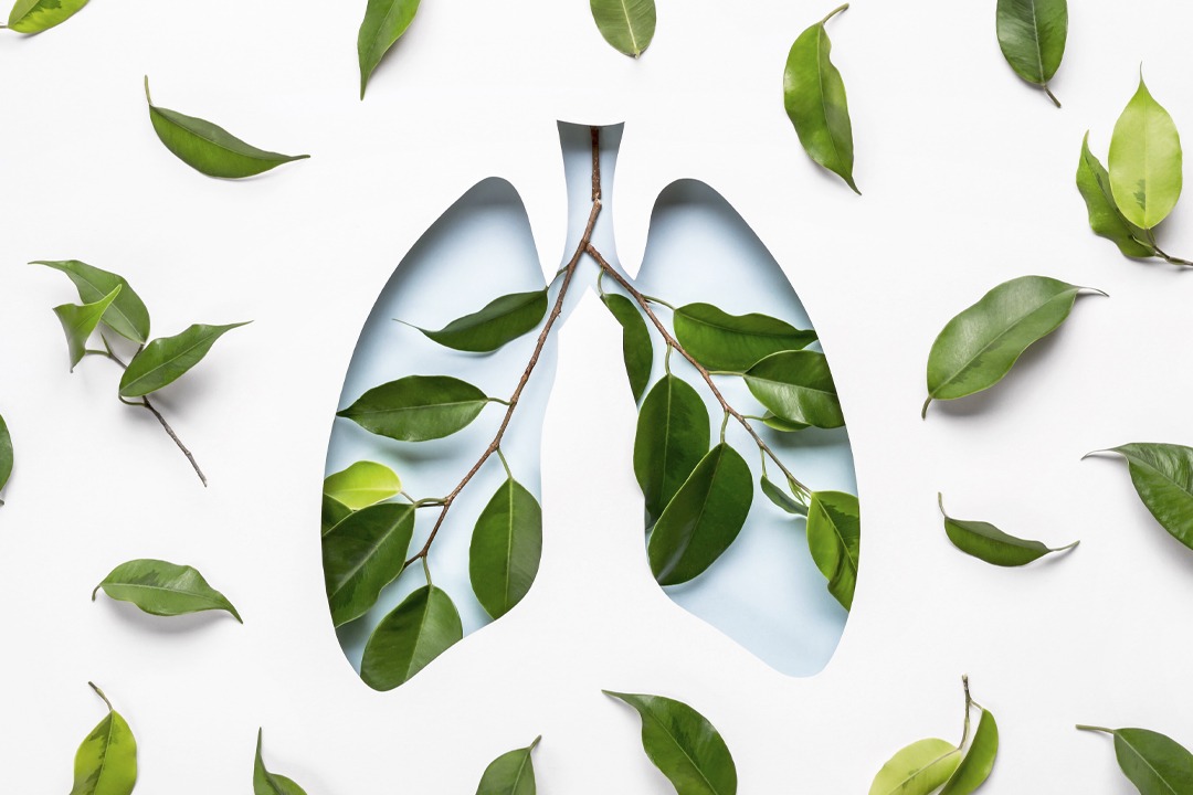 blue-hole-lungs-and-green-twigs-as-symbol-of-healt, äußere Atmung, innere Atmung, Atmung erklärt