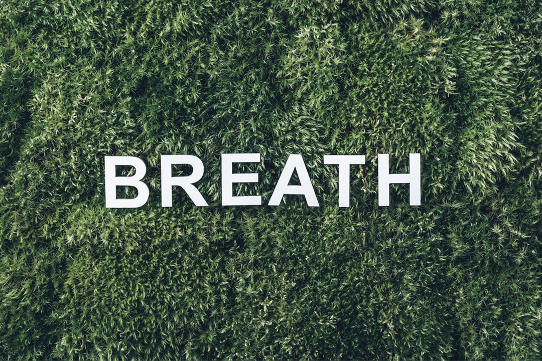 word-breath-on-moss-green-grass-background-healt-2022-11-11-05-36-21-utc; Die Atmung; Atemtechniken; Atemübungen; Atemberatung; Atemkurse