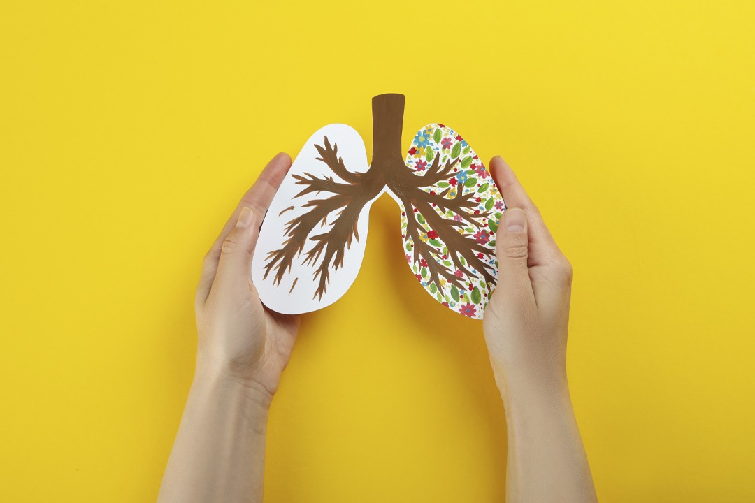 world-lung-day-or-lung-healthy-concept-on-yellow, innere Atmung, äußere Atmung, Atmung erklärt